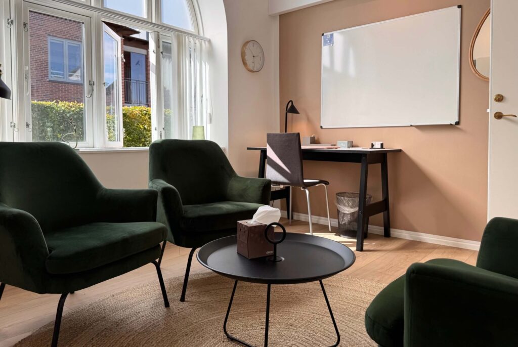 Terapi-lokalet set indefra